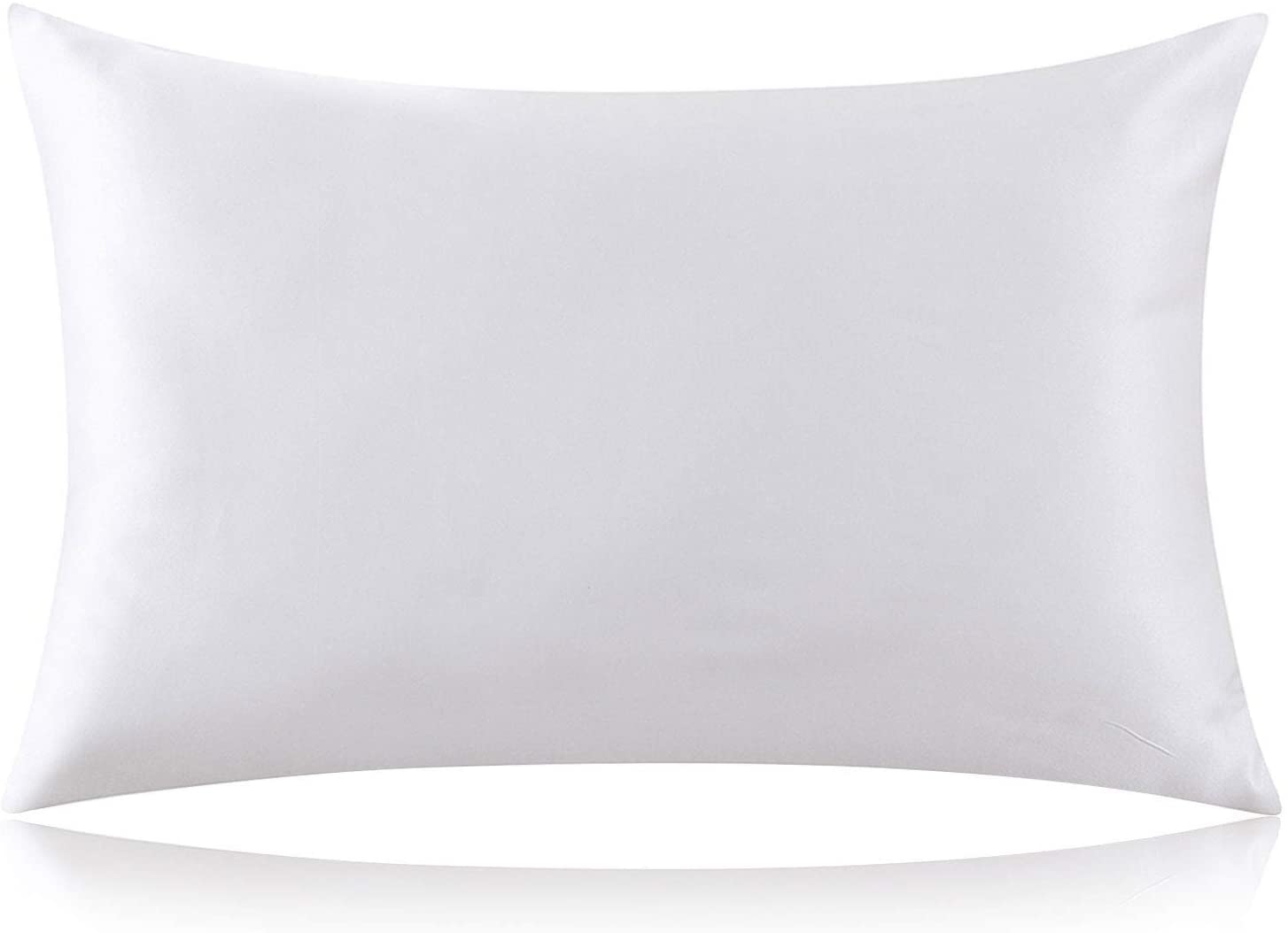 Luxury 100 Pure Mulberry Silk Pillowcase 22 Momme Queen Size Ivory silkdelux.com 1612762879